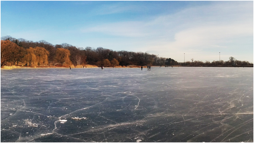 ice hockey